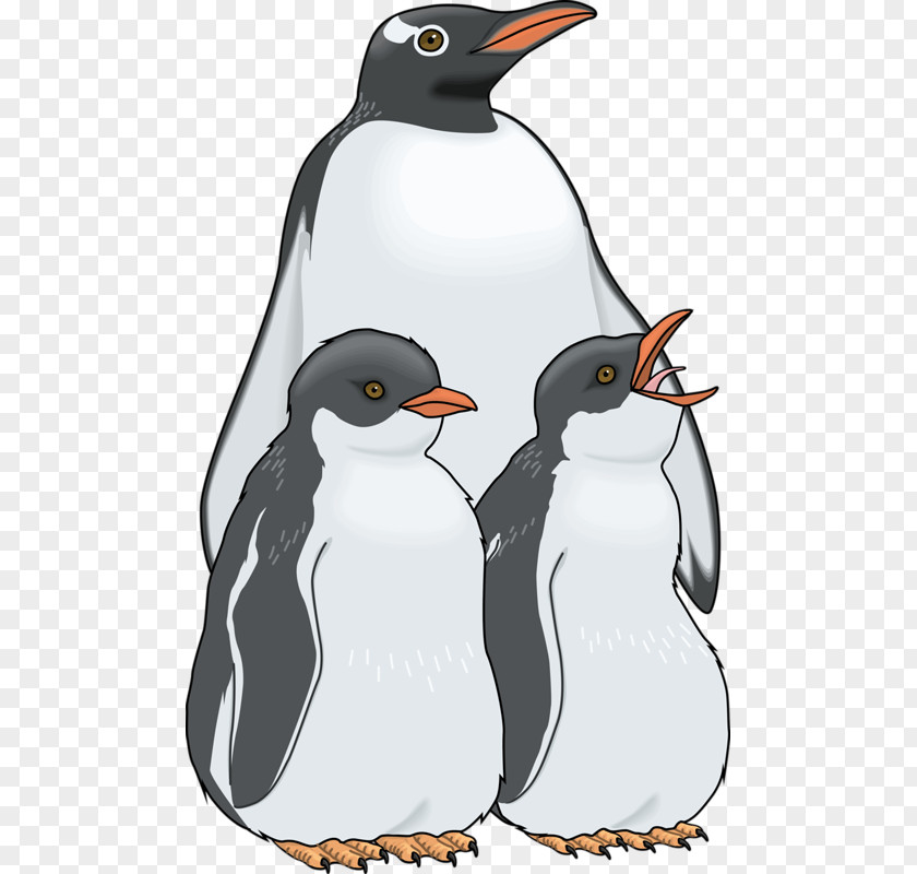 Three Penguins Penguin Royalty-free Clip Art PNG