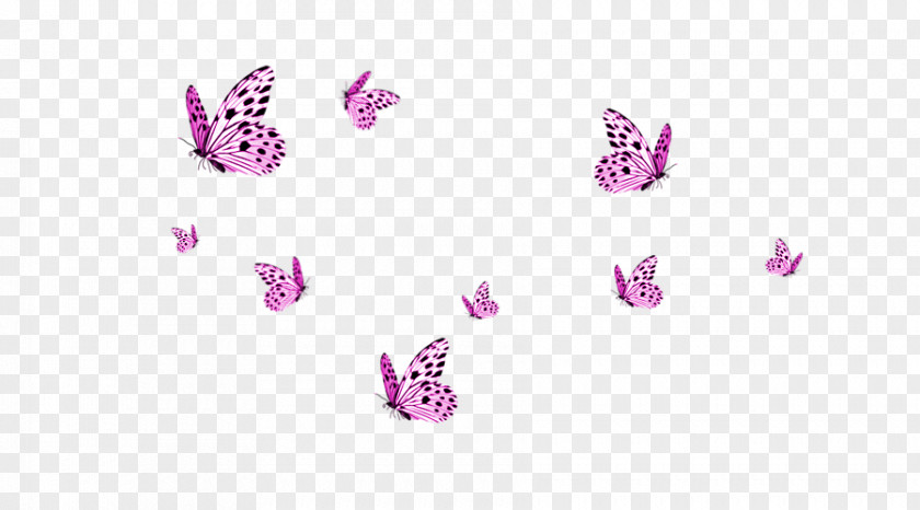 Transparent Butterflies Monarch Butterfly PNG