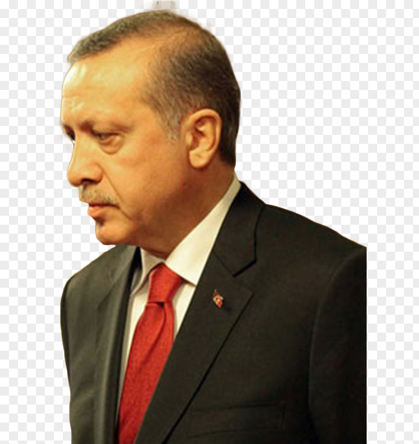 Business Recep Tayyip Erdoğan Justice And Development Party Turkey Opinion Polling For The Turkish General Election, 2018 PNG