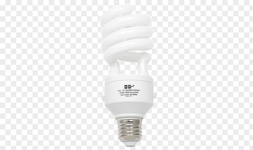 Light Incandescent Bulb PNG