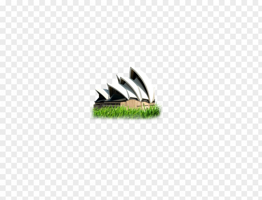 The Sydney Opera House On Grass Book LINE Pattern PNG