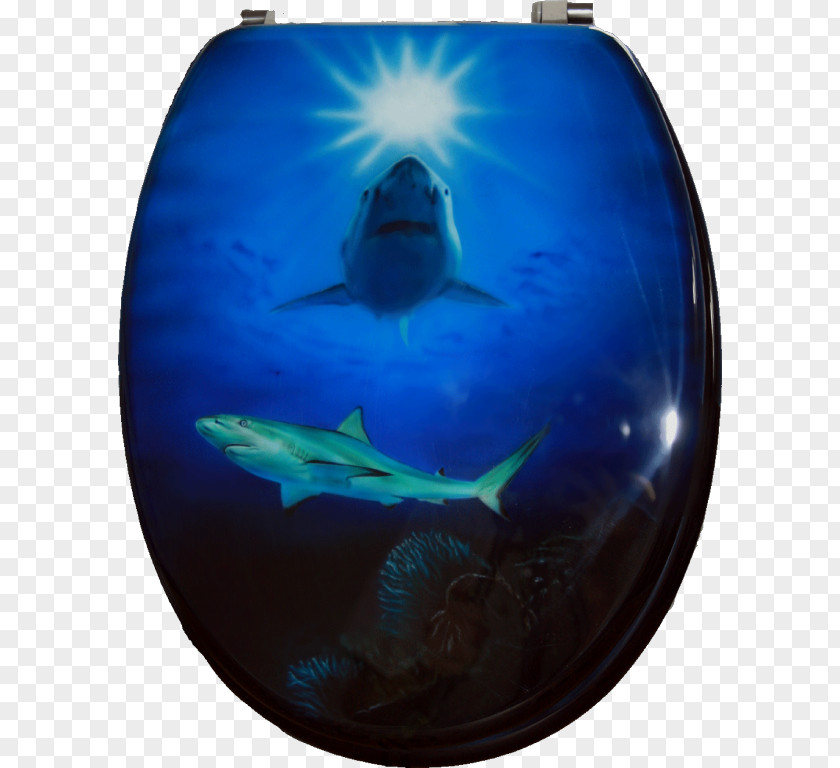 Toilet Marine Mammal & Bidet Seats Biology Cobalt Blue PNG