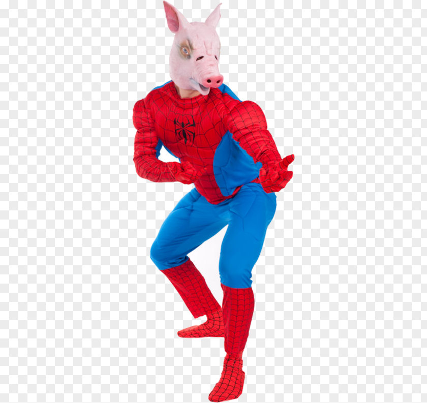 Identity Cards Can Not Open Jokes Halloween Costume Spider Pig Mummy PNG