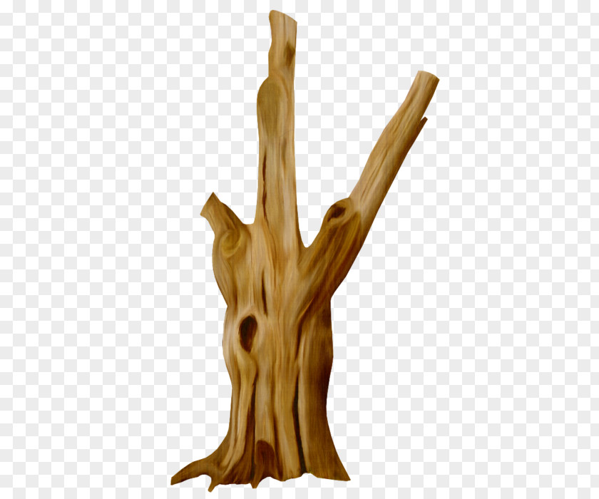 Tree Stump Trunk Clip Art PNG