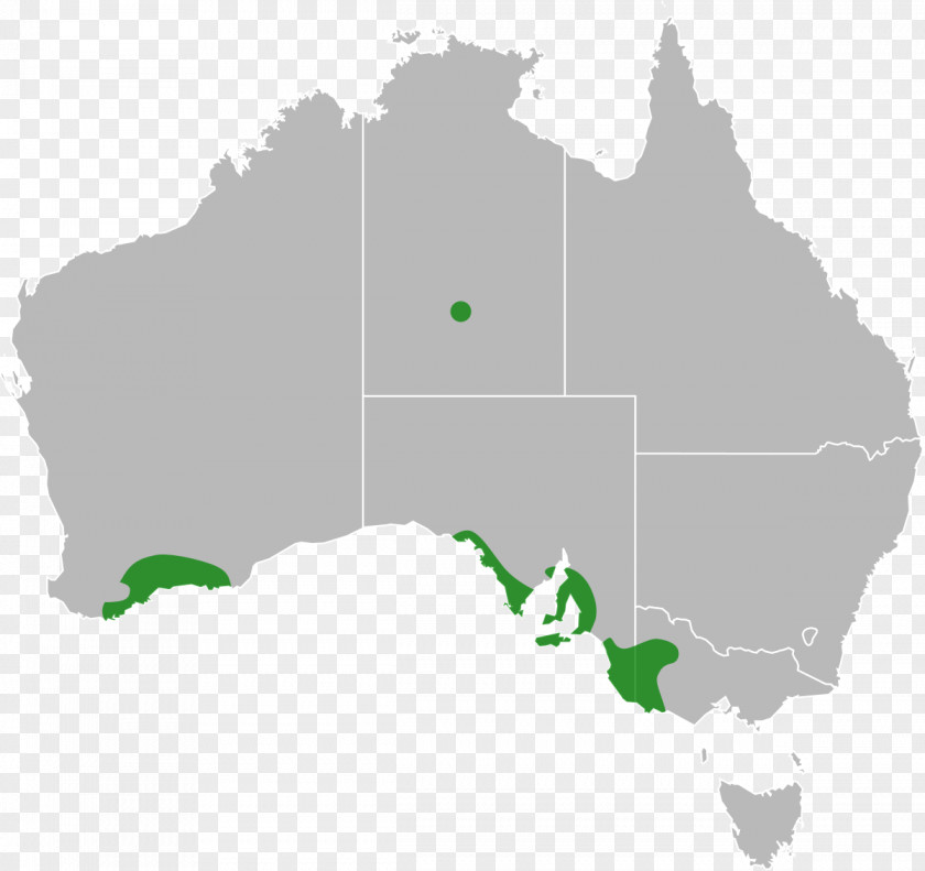 Australia Map Stock Photography PNG