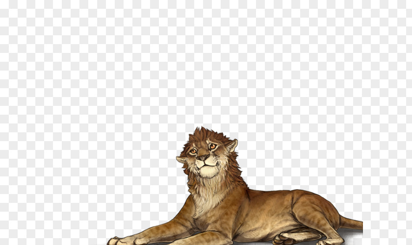 Lion Tiger Cat Panther Boerboel PNG