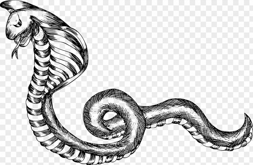 Mixed Vector Black And White Snake PNG