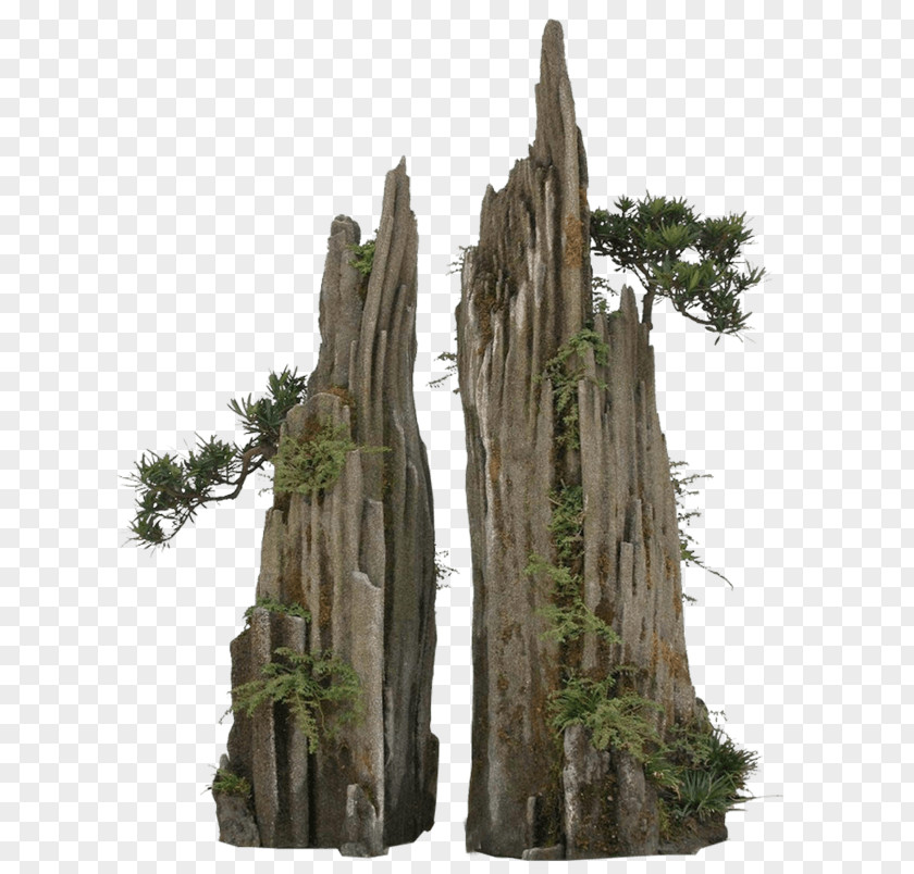 Odd Bonsai Penjing Tree Rock Garden PNG