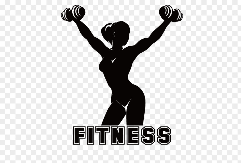 Slim Woman Holding A Barbell Physical Fitness Centre Silhouette PNG