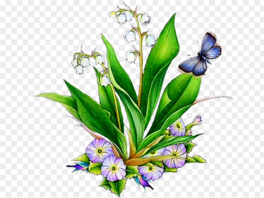 Butterfly Lily Of The Valley Lilium Tattoo Flower PNG