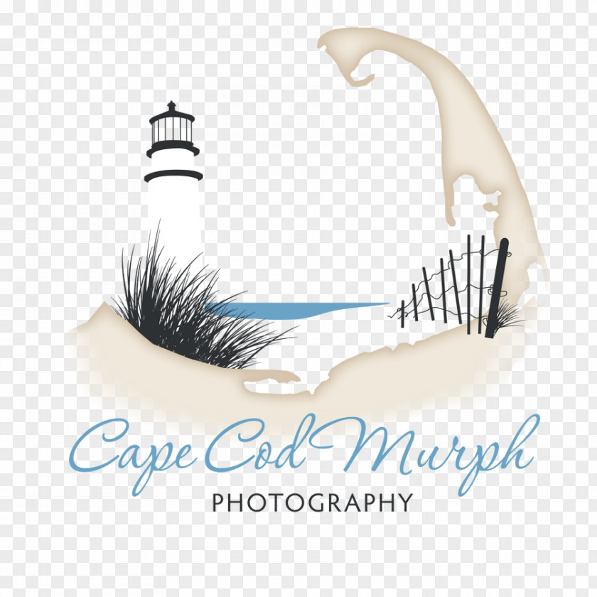 Design Logo Eyelash Font PNG