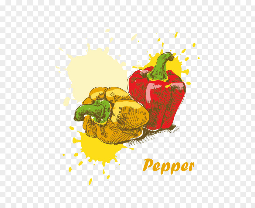 Hand-painted Pepper Breakfast Food Drawing Paint PNG
