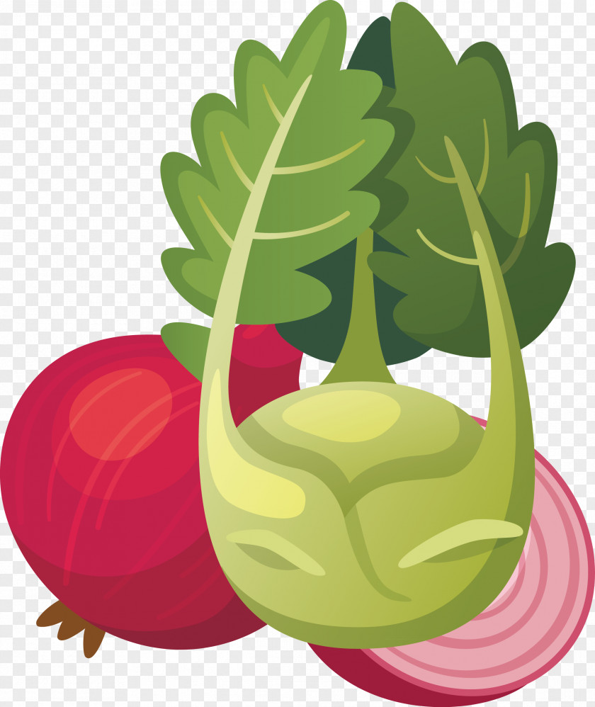 Painting Gouache Vegetables Fruit Vegetable Radish Turnip PNG
