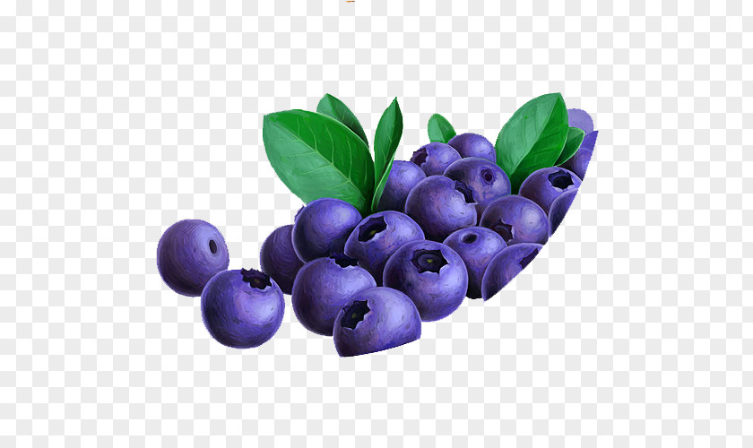 Purple Piles Blueberries Blueberry Bilberry Fruit Lingonberry Anthocyanidin PNG
