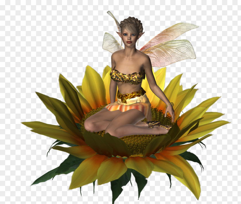 Birth Chroma Key Fairy Elf Clip Art PNG