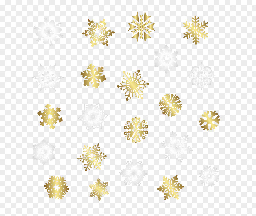 Color Snow Snowflake PNG