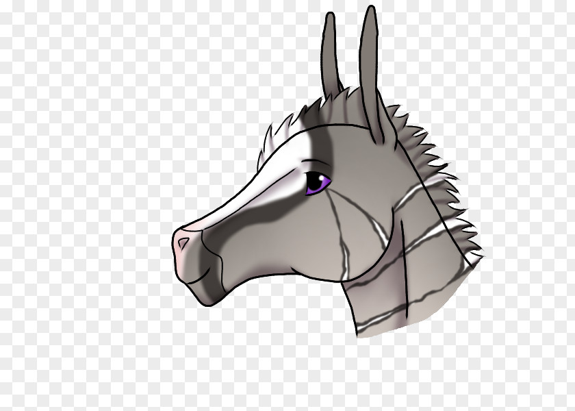 Donkey Halter Snout Bridle PNG