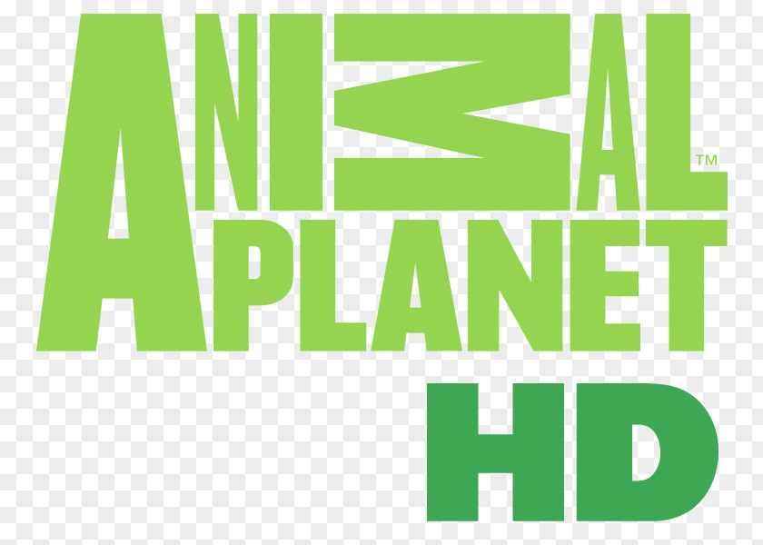HD High-definition Television Animal Planet Channel PNG