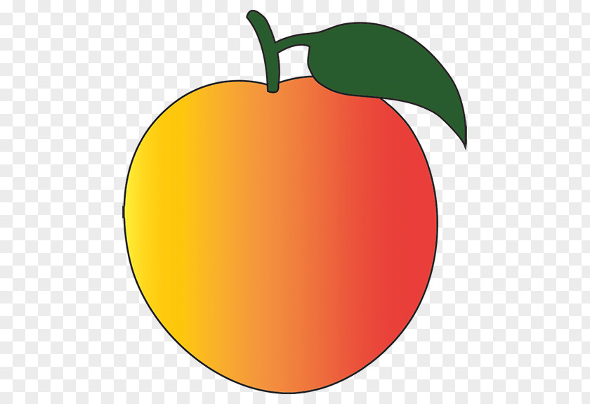 Honey Peach Clip Art Citrus Line Apple PNG