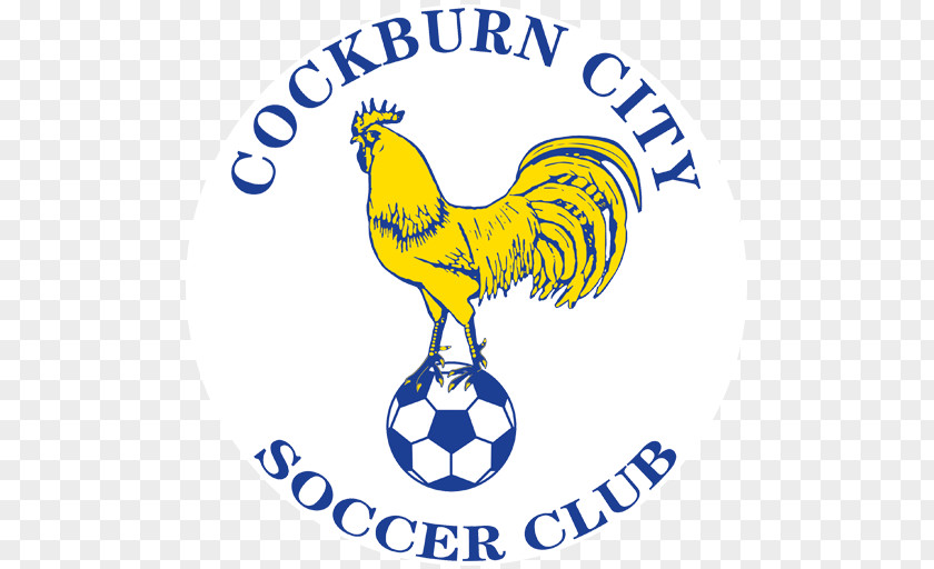 Rooster Clip Art Cockburn City SC Chicken Of PNG