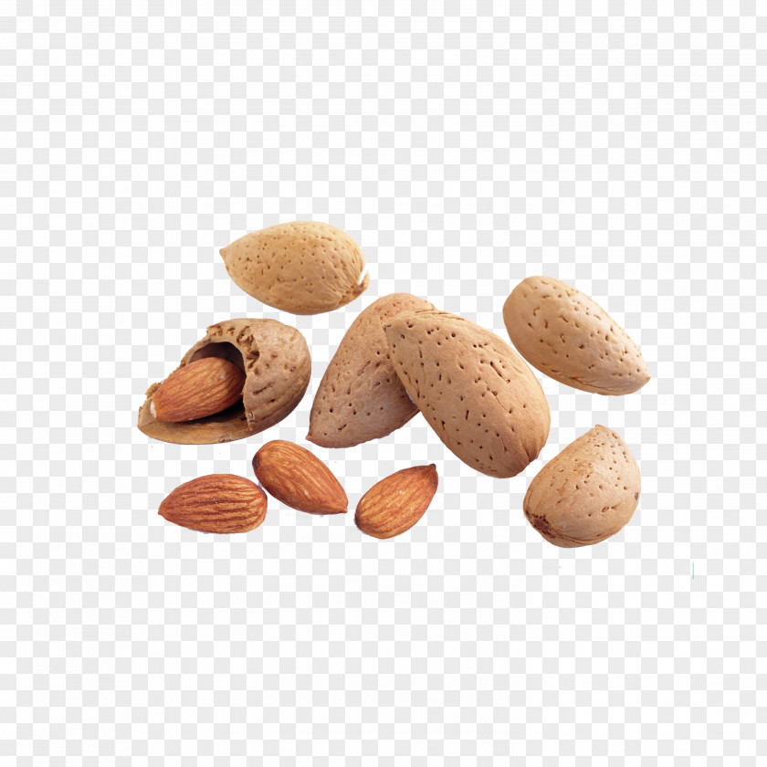 Almond Food Nuts PNG