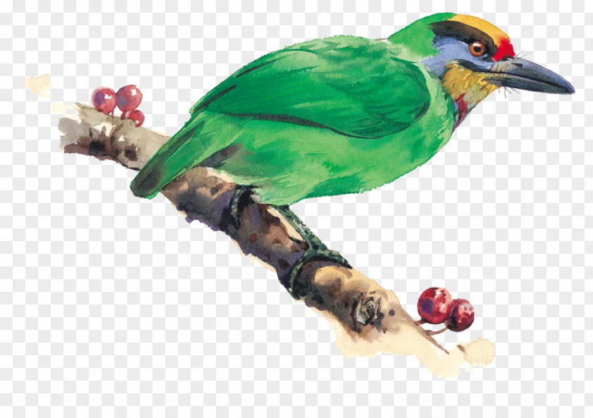 Bird Bird-and-flower Painting Watercolor Illustration PNG