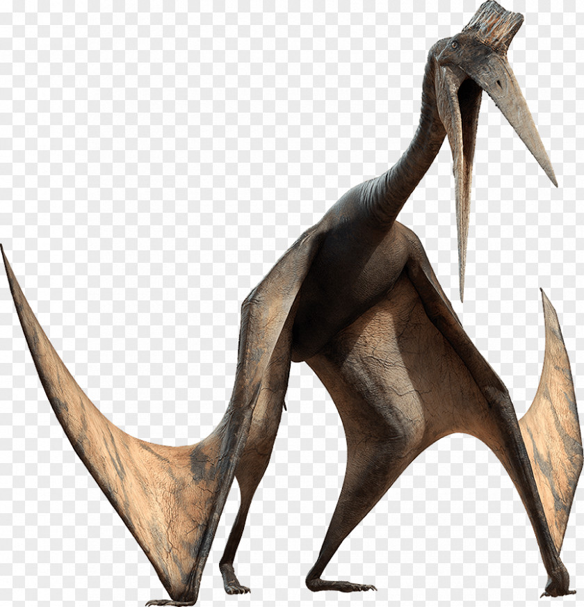 Dinosaur Pterosaurs Quetzalcoatlus Pachyrhinosaurus ARK: Survival Evolved PNG