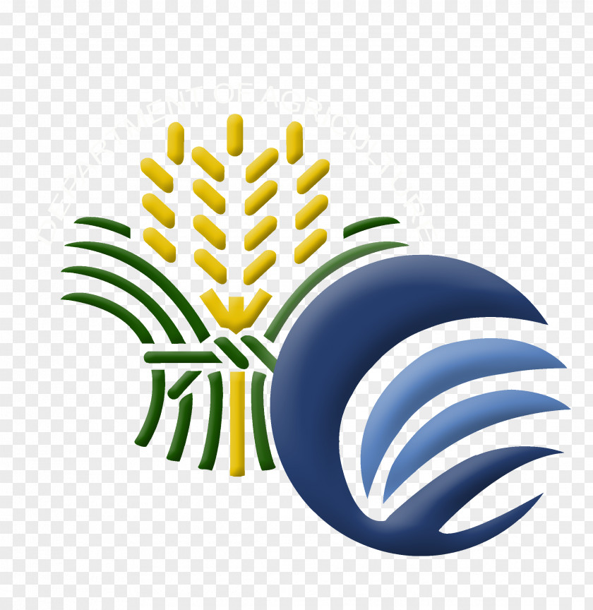 Plant Logo Coconut Cartoon PNG