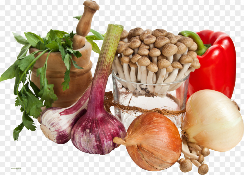 White Salad Onion Ingredients Stock Photography Garlic Food PNG
