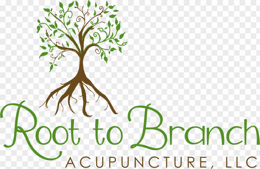 Acupuncture Logo Brand Plant Stem Font PNG