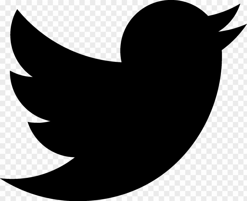 Black Twitter Logo Social Media PNG