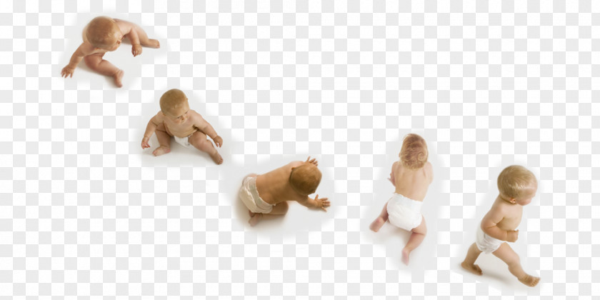 Child Infant Crawling Sitting Developmental Psychology PNG