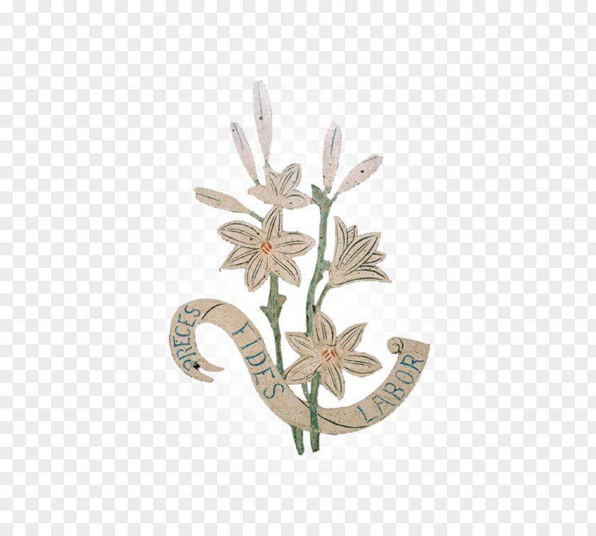 Flower PNG