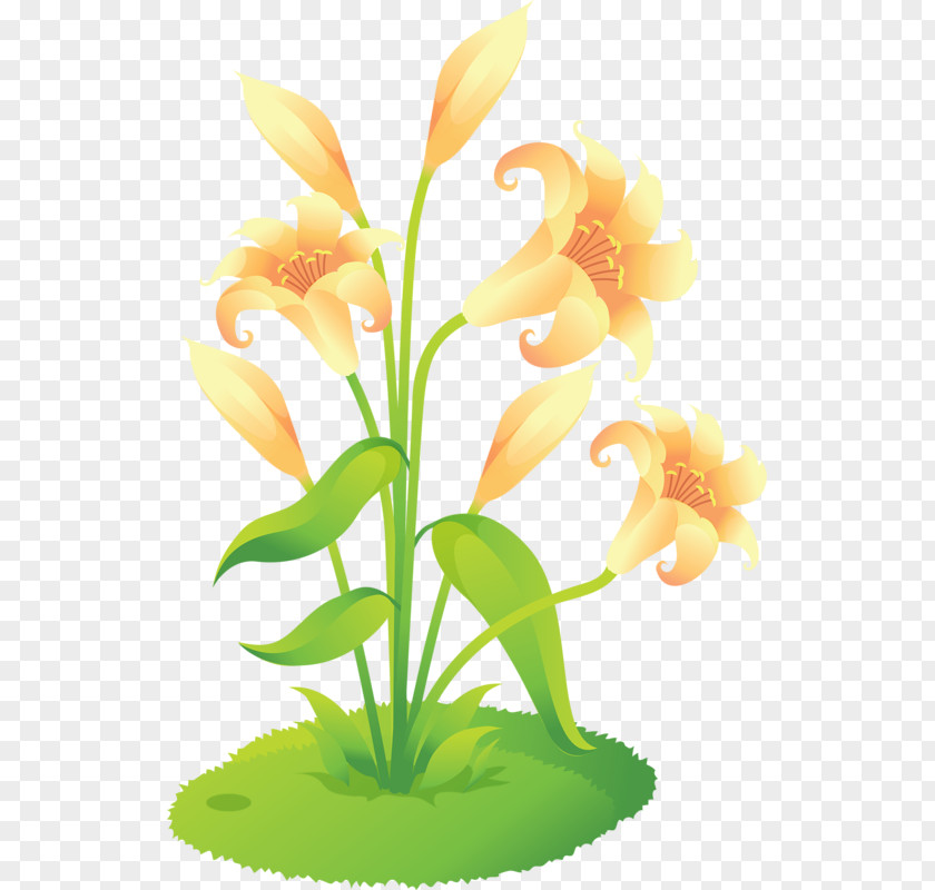 Hand-painted Lily Flower Lilium Euclidean Vector Clip Art PNG