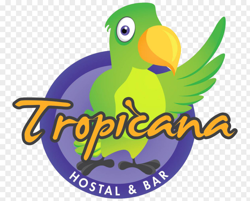 Tropicana Hostel Logo Macaw Backpacker Clip Art PNG