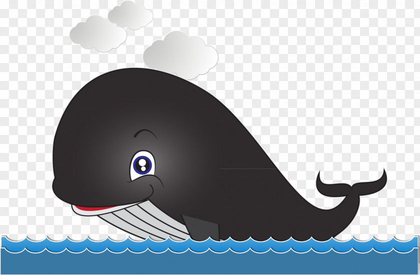 Cartoon Dolphin Material Whale Drawing PNG