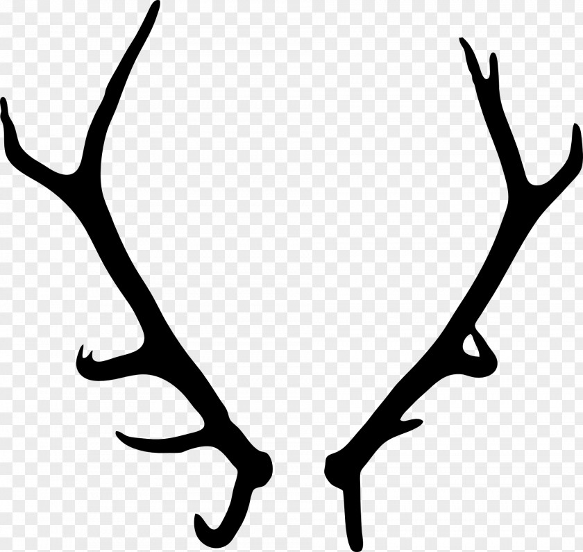 Deer Elk Antler Drawing PNG