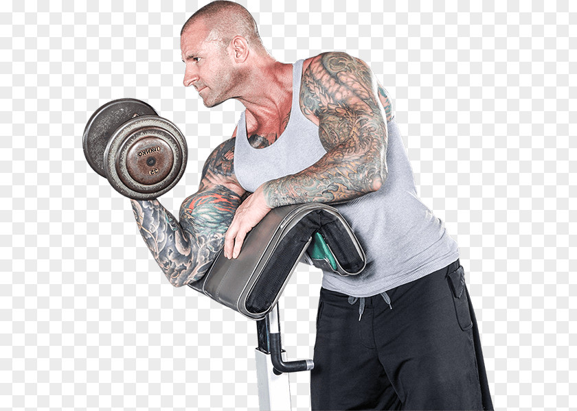 Jim Stoppani Shoulder Physical Fitness Weight Training Exercise PNG