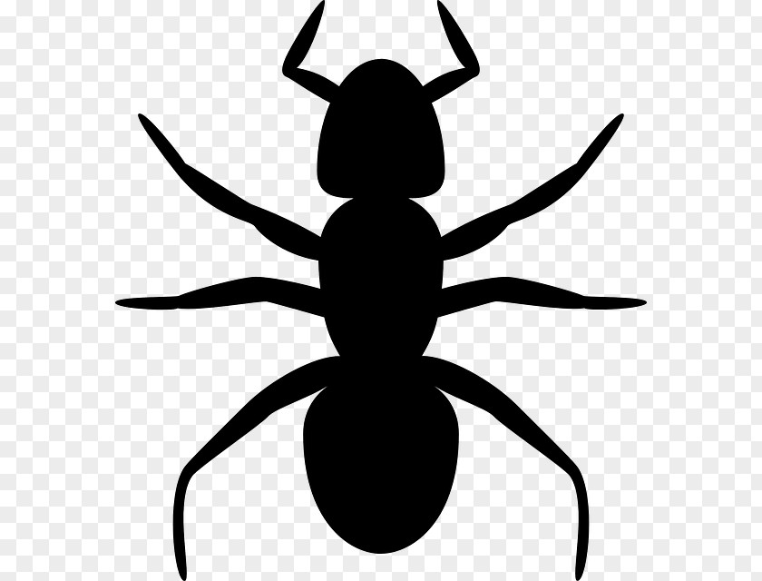Ant Clip Art Vector Graphics Openclipart PNG