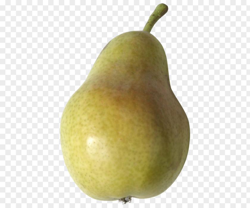 Asian Pear Accessory Fruit Food PNG