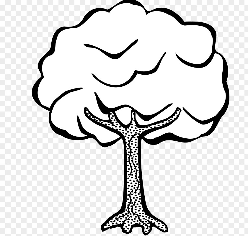 Forest Plant Line Art Draw Trees Drawing Clip PNG