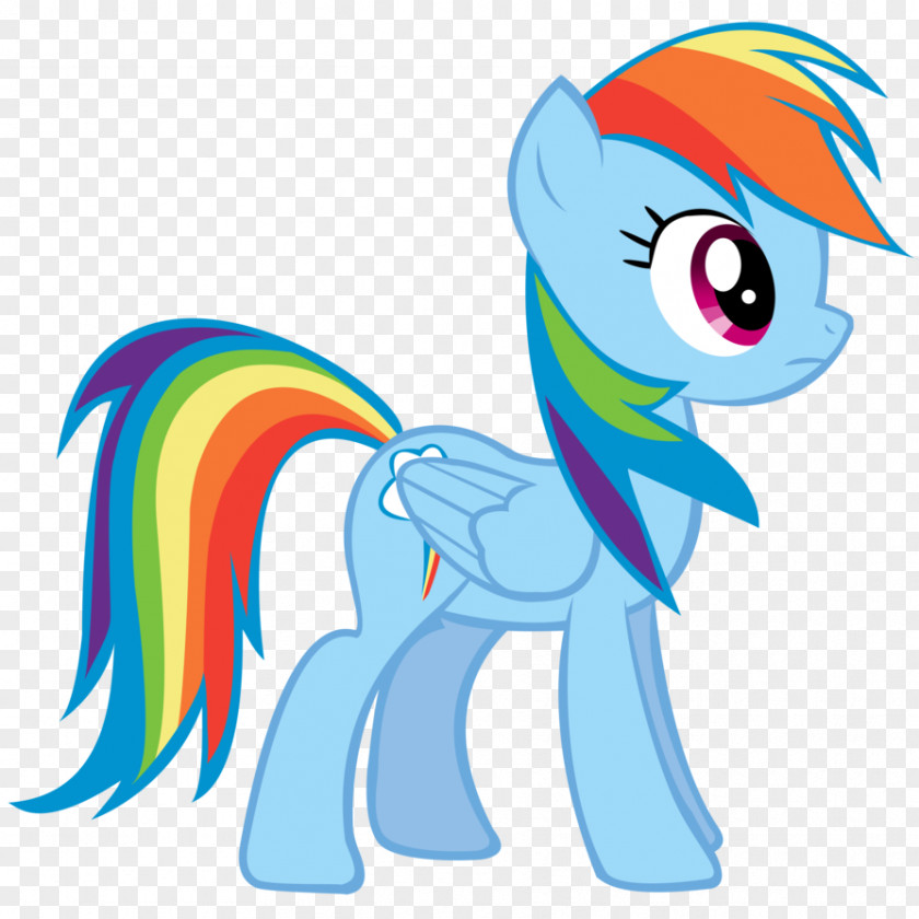 Friendship Rainbow Dash Twilight Sparkle Pinkie Pie Applejack Rarity PNG