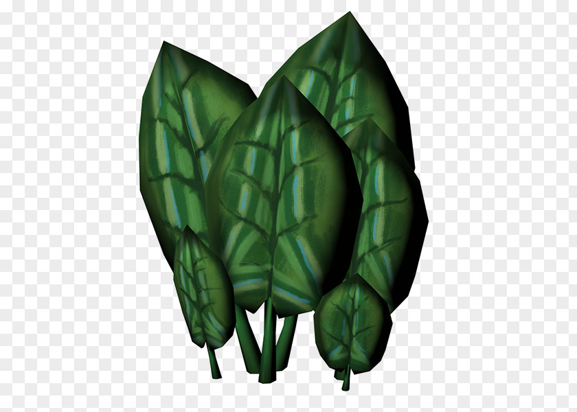 Leaf Green Tortoise PNG
