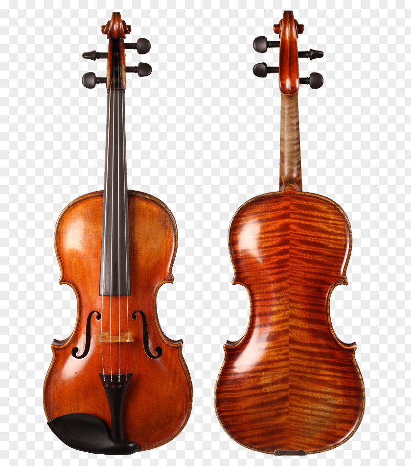 Violin Player Family Stradivarius Bow String Instruments PNG