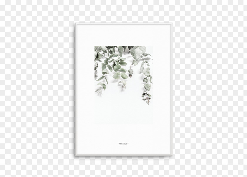 Botanical Olive Gum Trees Poster Corymbia Ficifolia Printing Printmaking PNG