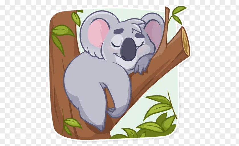 Koala Bear Rodent Cartoon PNG