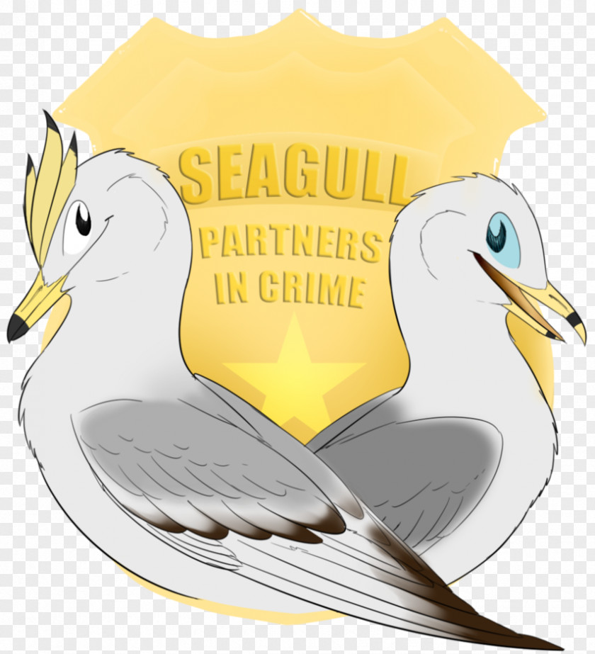 Names Of Seagull Fauna Seabird Illustration Cartoon Beak PNG
