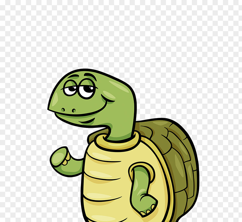 Turtle Cecil Character PNG
