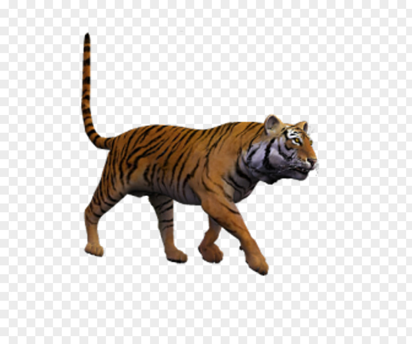 Wilde The Sims 2 Computer Tiger Information PNG