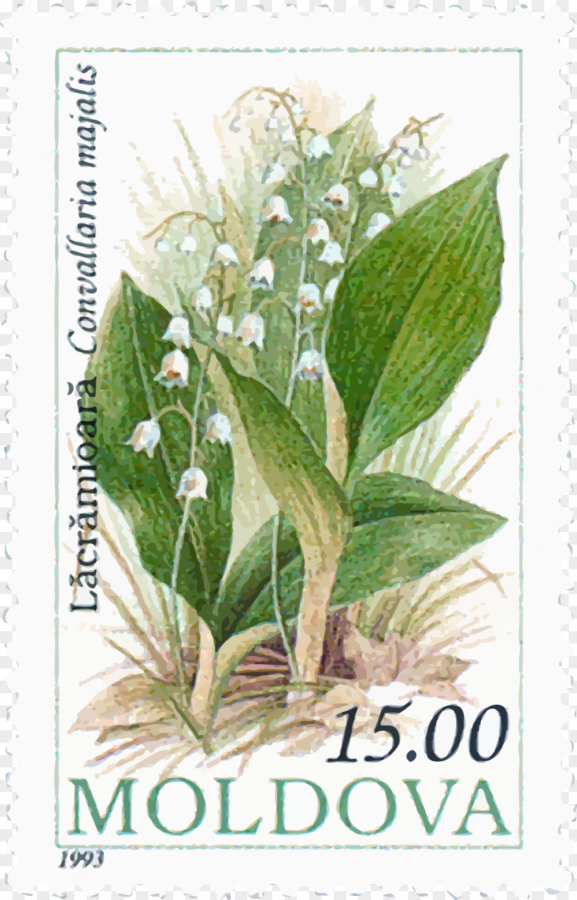 Lily Of The Valley Moldova Postage Stamps Mail Rubber Stamp Collecting PNG